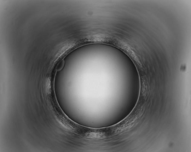 X0000100200251200806061329