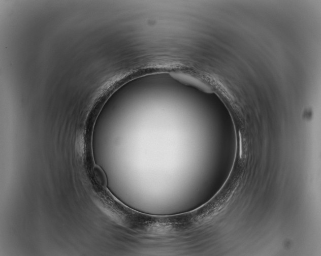 X0000100200252200806061329