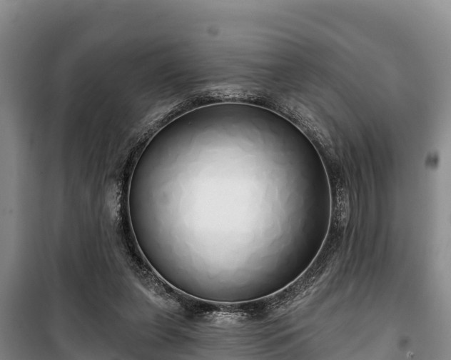 X0000100200255200806061329