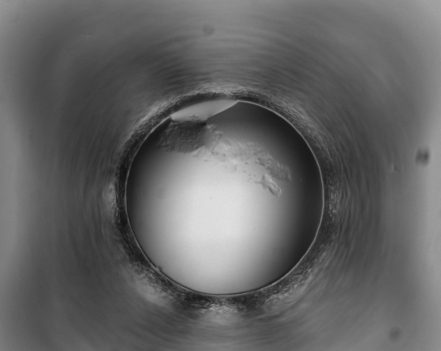 X0000100200256200806061329