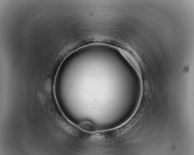 X0000100200257200806061329