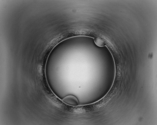 X0000100200258200806061329