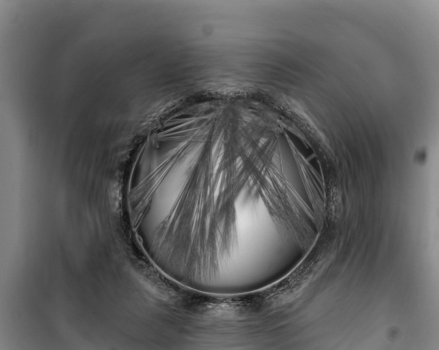 X0000100200259200806061329