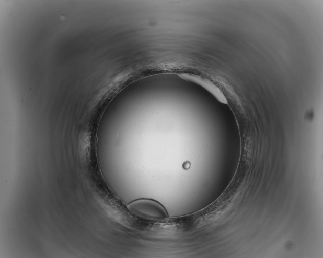 X0000100200260200806061329