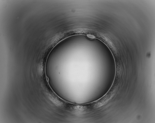 X0000100200261200806061329