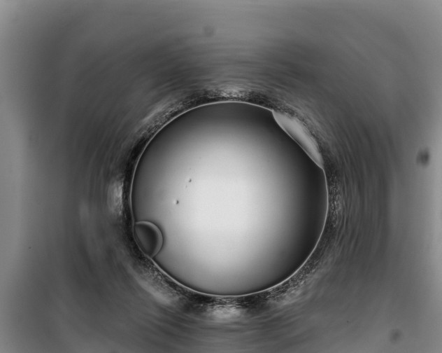 X0000100200262200806061329