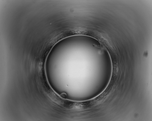 X0000100200263200806061329