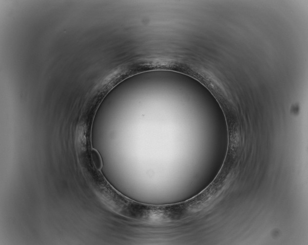 X0000100200264200806061329