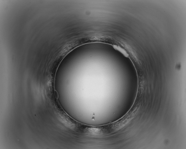 X0000100200265200806061329