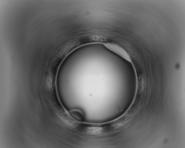 X0000100200266200806061329