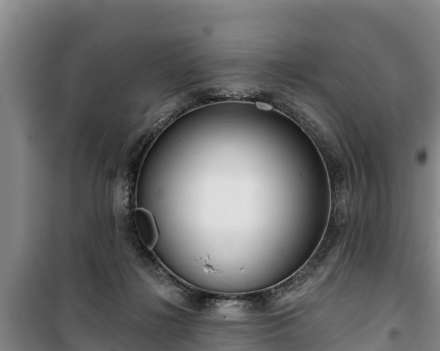 X0000100200268200806061329