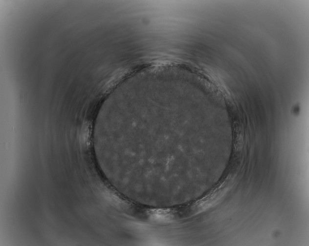 X0000100200273200806061329