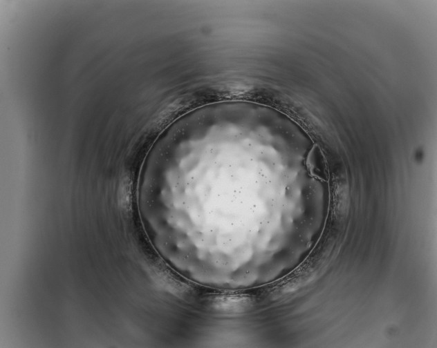 X0000100200274200806061329