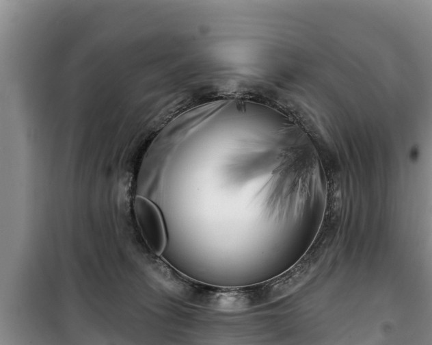 X0000100200275200806061329