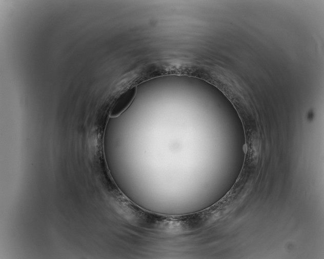 X0000100200276200806061329