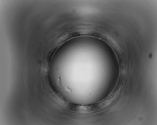 X0000100200277200806061329