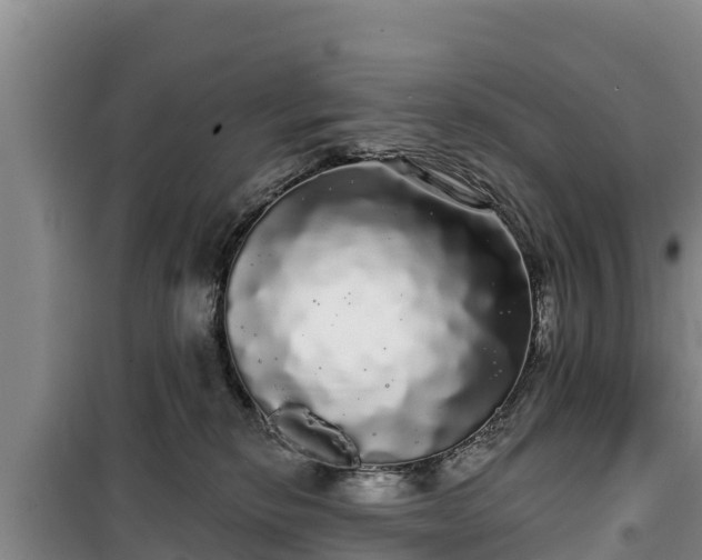 X0000100200278200806061329