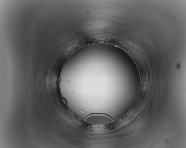 X0000100200279200806061329