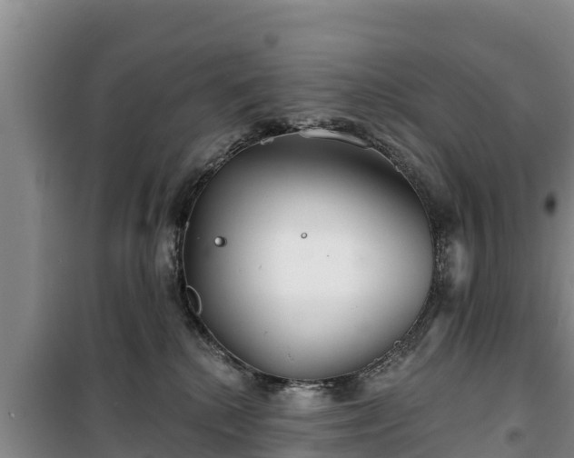 X0000100200280200806061329