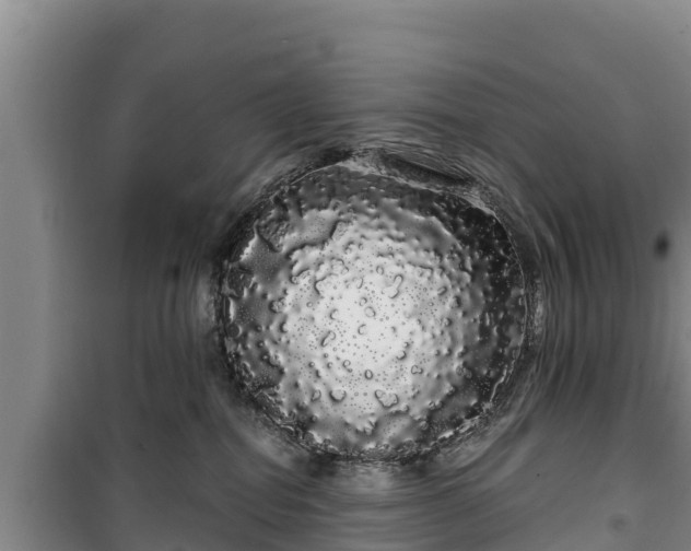 X0000100200282200806061329