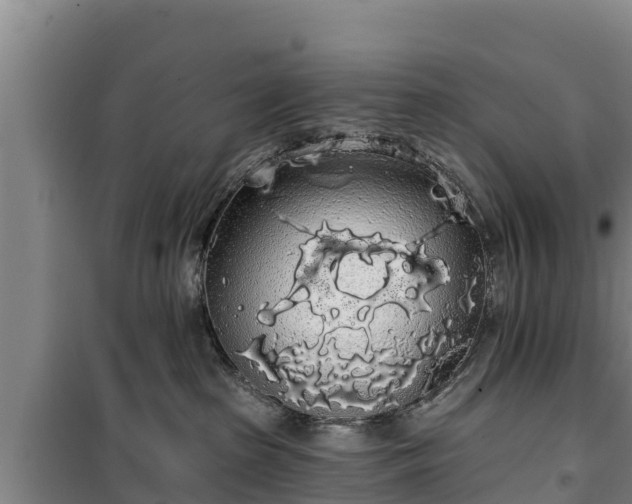 X0000100200285200806061329