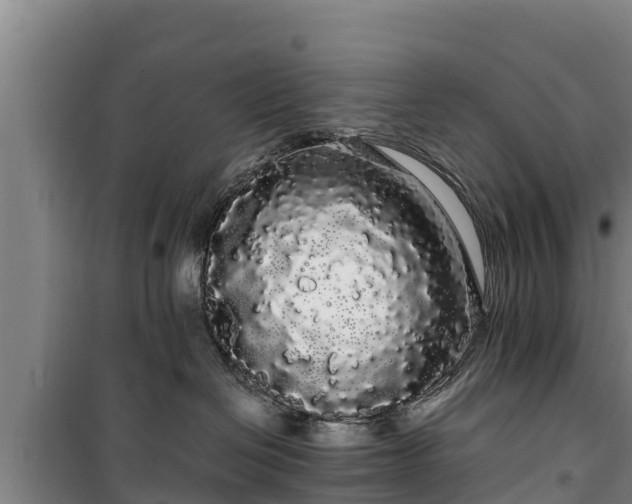 X0000100200286200806061329