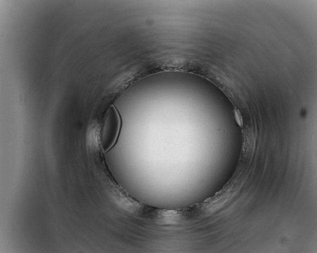 X0000100200287200806061329