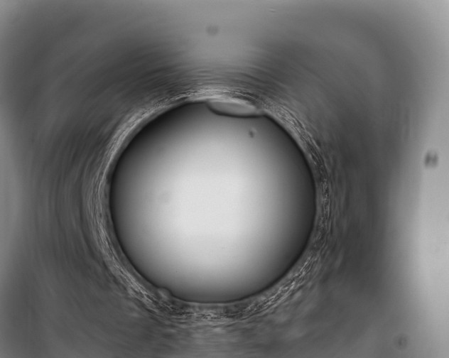 X0000100200289200806061329