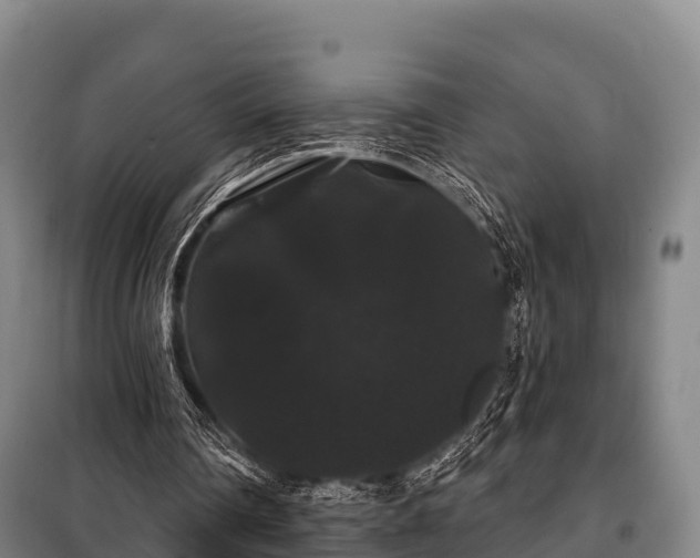 X0000100200290200806061329