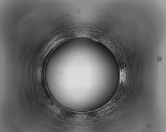 X0000100200291200806061329