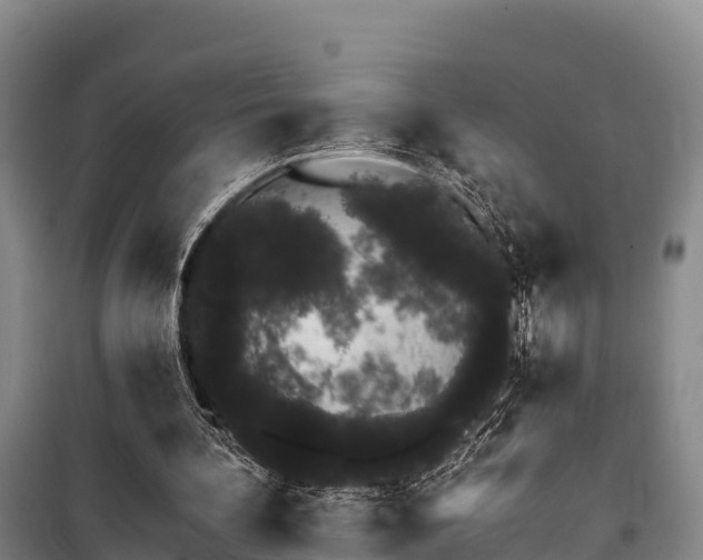 X0000100200292200806061329