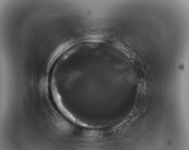 X0000100200293200806061329