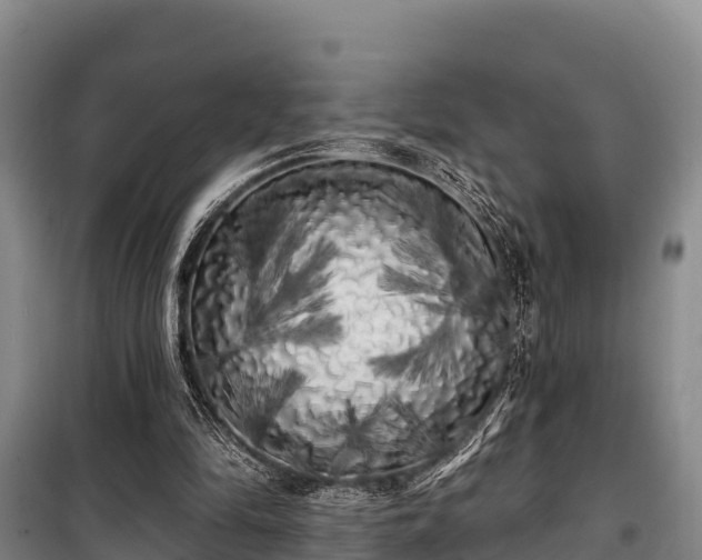 X0000100200294200806061329