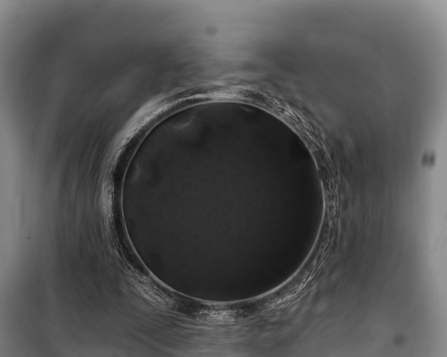 X0000100200295200806061329