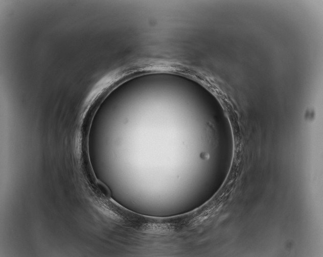 X0000100200296200806061329