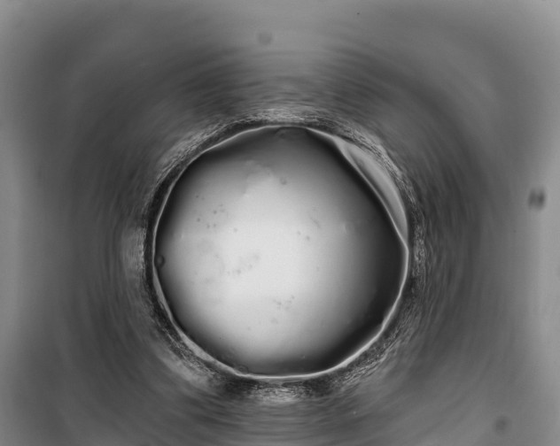 X0000100200299200806061329