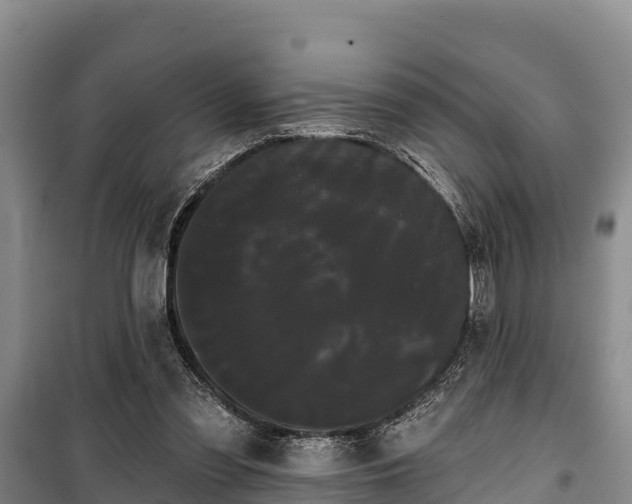 X0000100200301200806061329