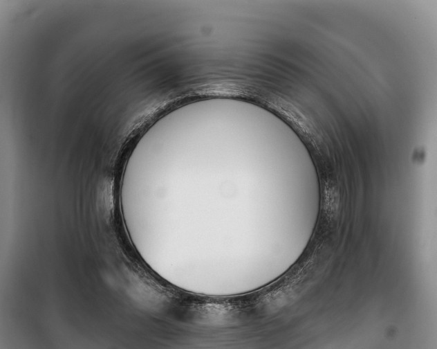 X0000100200302200806061329