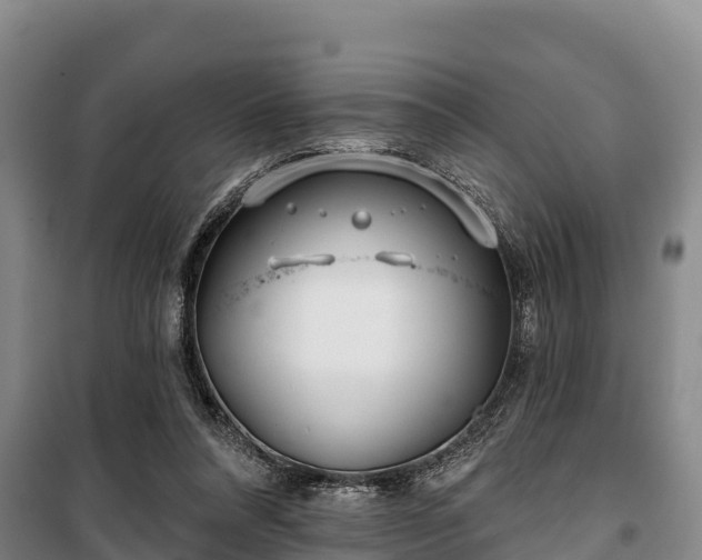 X0000100200304200806061328