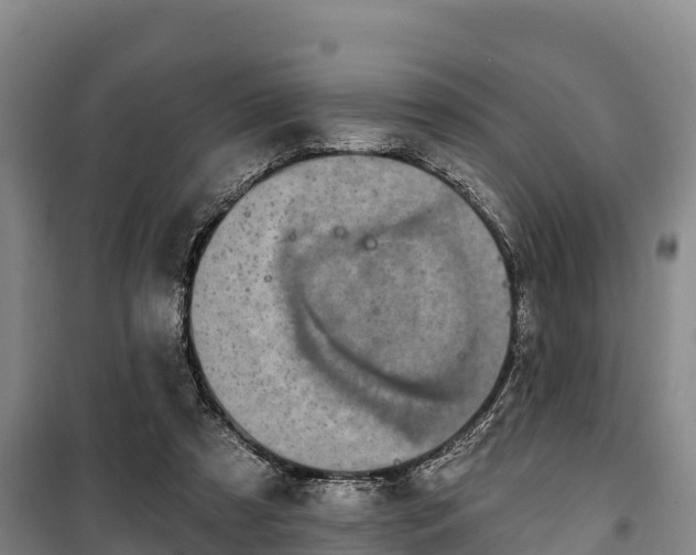 X0000100200305200806061328