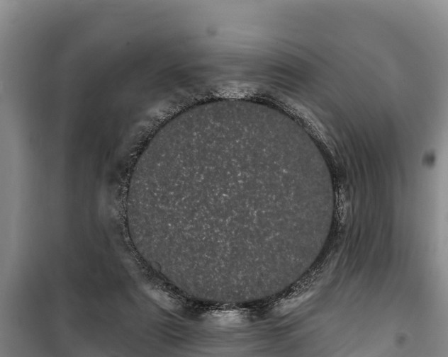 X0000100200307200806061328