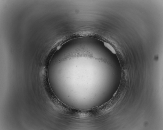 X0000100200308200806061328