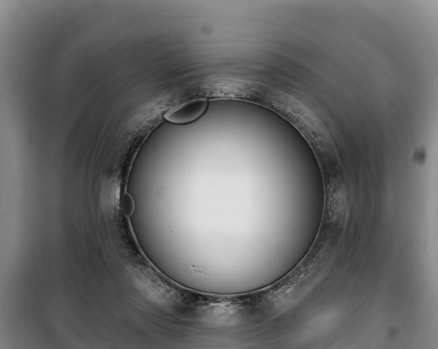 X0000100200310200806061328