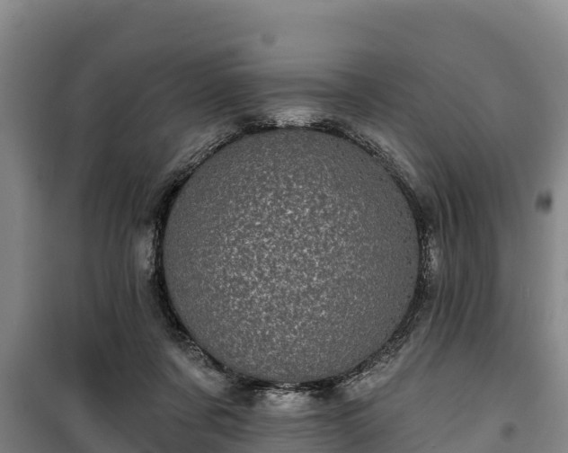 X0000100200311200806061328