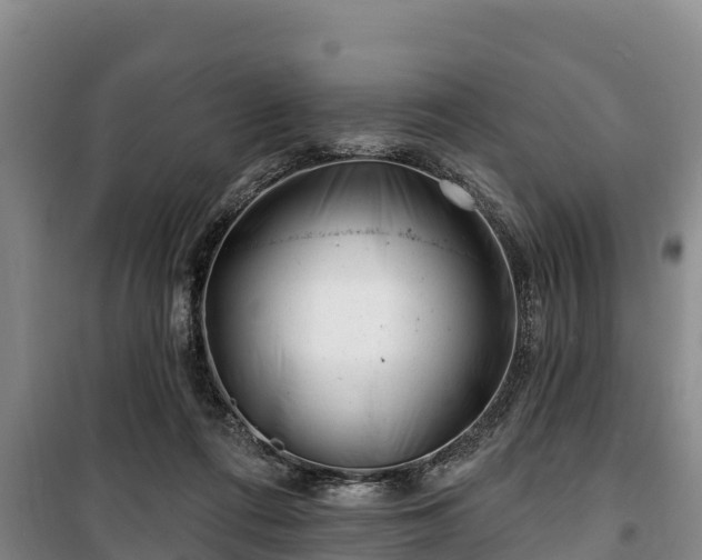 X0000100200312200806061328