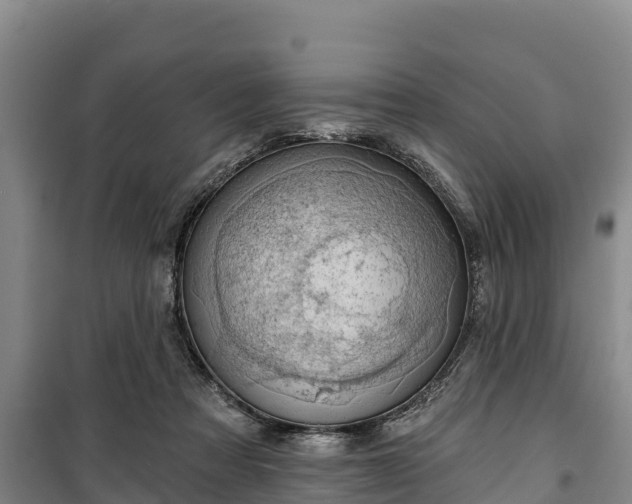 X0000100200313200806061328