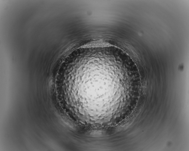 X0000100200314200806061328