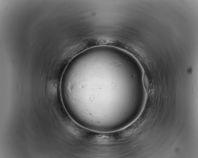 X0000100200315200806061328