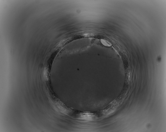 X0000100200316200806061328