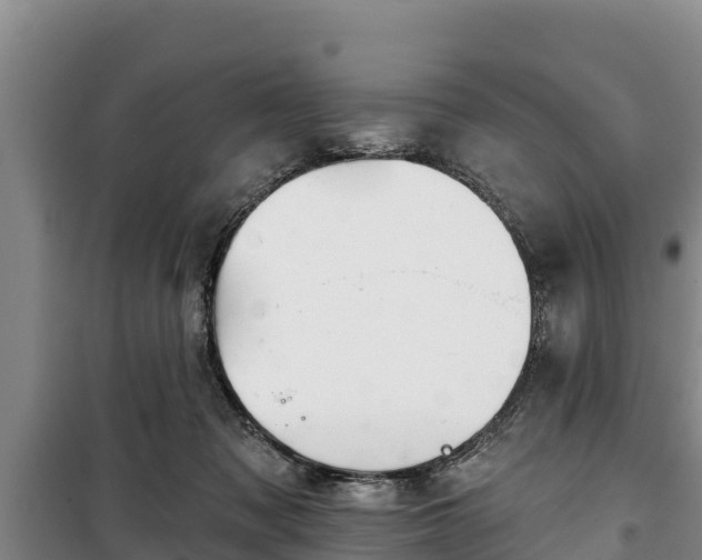 X0000100200317200806061328